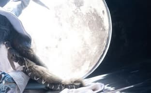 Elden Ring в миниатюре, Blizzard высказалась о лутбоксах в своей новой игре — самое интересное за 5 мая