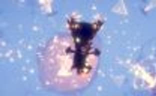 Fe — как вы яхту назовёте...