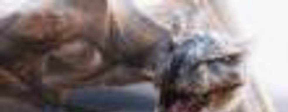 Paul W.S. Anderson планирует снять фильм по игре Monster Hunter