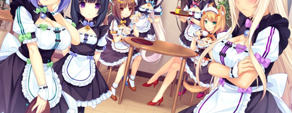 В Steam закрыли дорогу для многих взрослых игр? Valve запретила выпускать игры, которые нарушают правила платёжных систем и банков