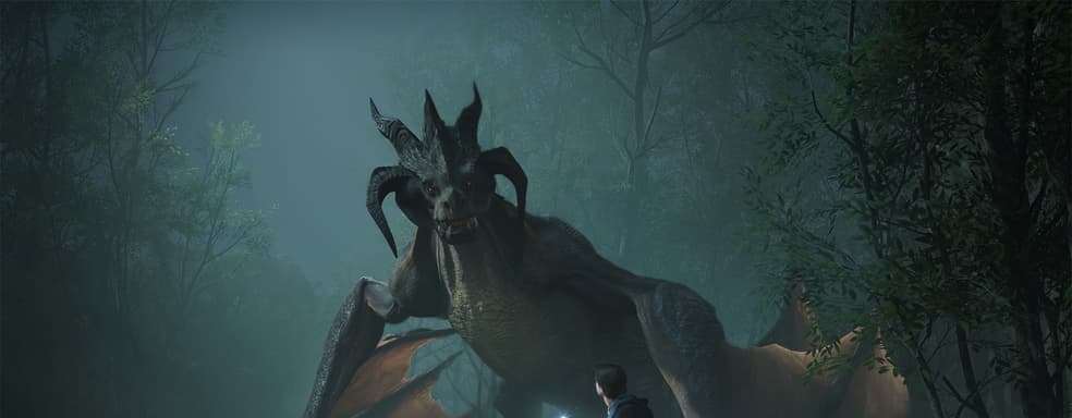 Свой среди чужих – создатель ролевой игры по вселенной «Гарри Поттера» критиковал борцов за социальную справедливость