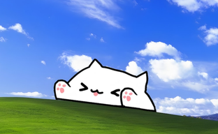 Одна из популярнейших игр Steam приносит разработчику только убытки, но у создателя Bongo Cat есть план