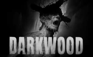 Разработчики хоррора Darkwood создают спортивную игру
