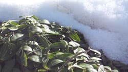 Посмотреть в полный размер