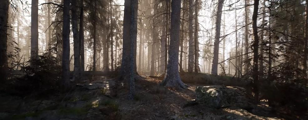 Unreal Engine 5.3 поражает качеством графики. Фотореалистичные пейзажи, визуализируемые в реальном времени