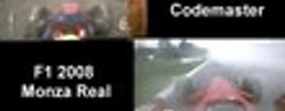 Погодные эффекты F1 2010