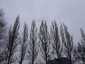 Фотографии смартфона LG Optimus G Pro