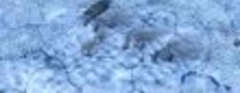 Видеодневники Hearts of Iron IV - танки