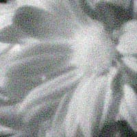 фрагмент, ИК