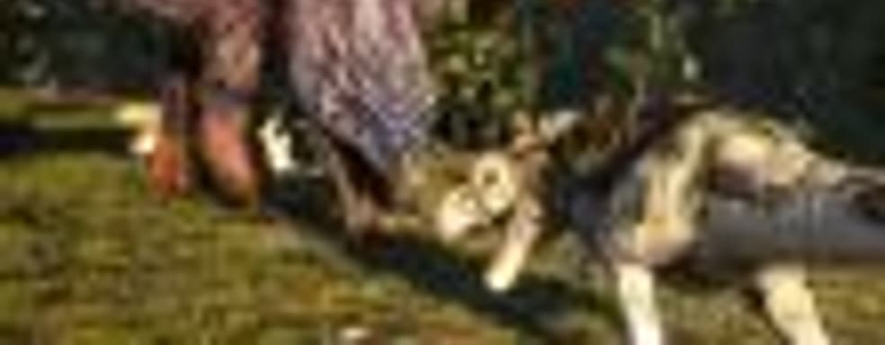 Ark: Survival Evolved на Xbox One скачали более 1 миллиона пользователей