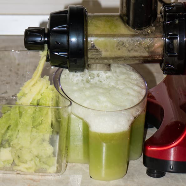 Двухшнековая горизонтальная соковыжималка Omega TWN32R