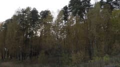 Видеокамера Canon XF405