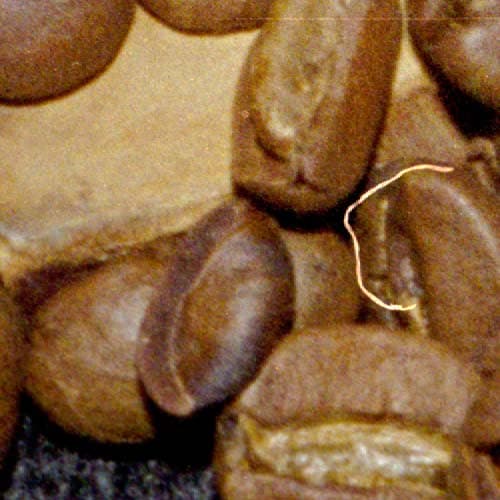 Фрагмент 1:1