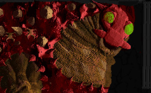 Культовую игру «Вангеры» удалили из Google Play, но россиянам она по-прежнему будет доступна в RuStore