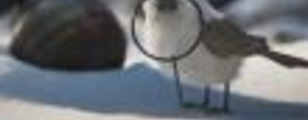 PUBG возрождается? В проект вновь одновременно играет более миллиона человек в Steam