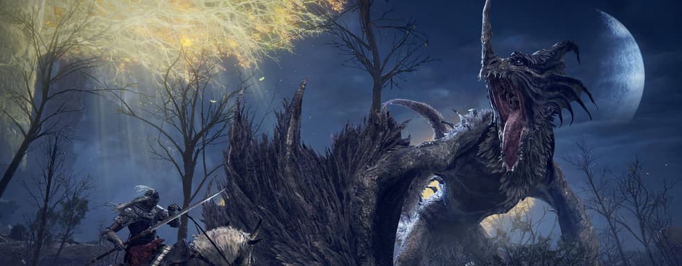 «Используя силу новых консолей». В Elden Ring на PS5 и Xbox Series X|S будет два режима графики