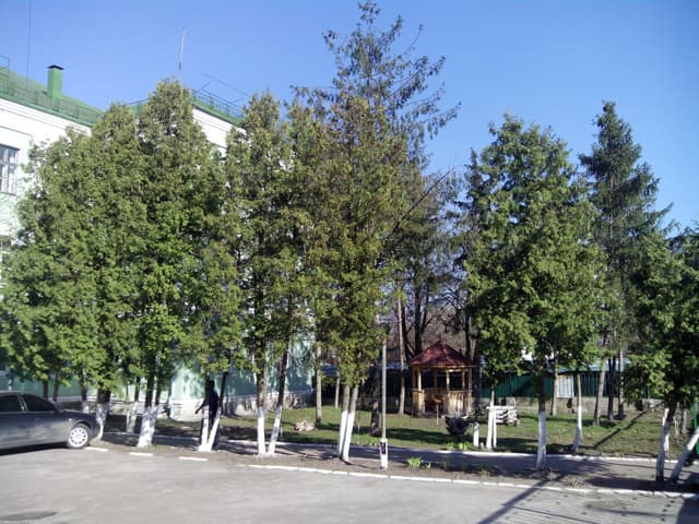 Обзор Caesar A9600. Демонстрационный снимок