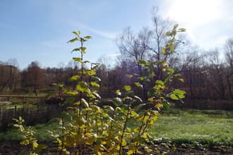 Видеосъемка фотоаппаратом. Sony DSC-RX100M2