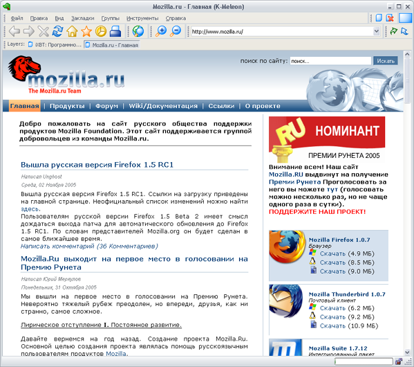 Рабочее окно браузера