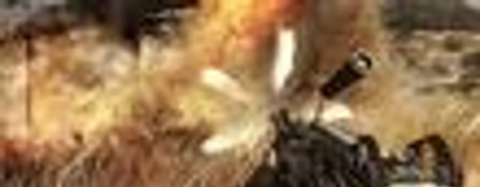 Ubisoft может добавить кооператив в Far Cry 2