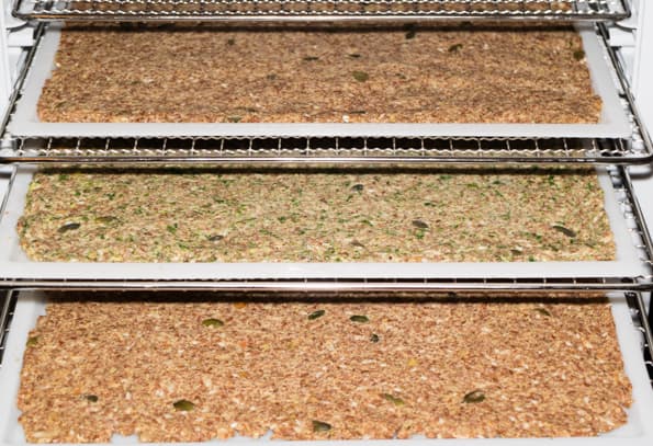 Дегидратор Rawmid Dream Vitamin DDV-10