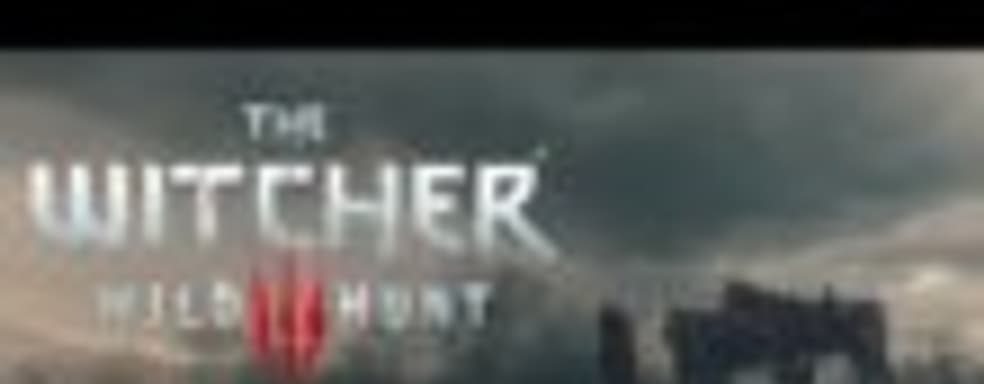 Полчаса The Witcher 3: Wild Hunt