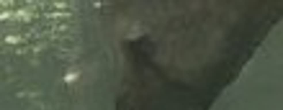 Запуск официального сайта The Last Guardian 