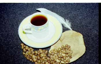 Негатив Kodak ProFoto 100