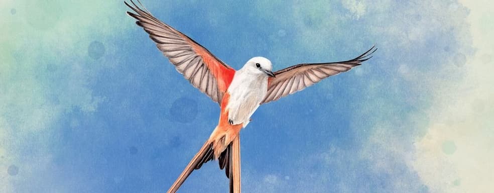 Карточная стратегия для фанатов орнитологии Wingspan выйдет на консолях PlayStation