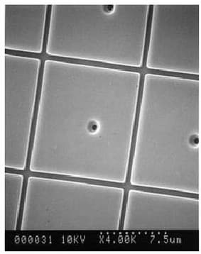 Micrograph of D-ILA pixel