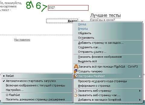 Интеграция в Firefox с помощью FlashGot