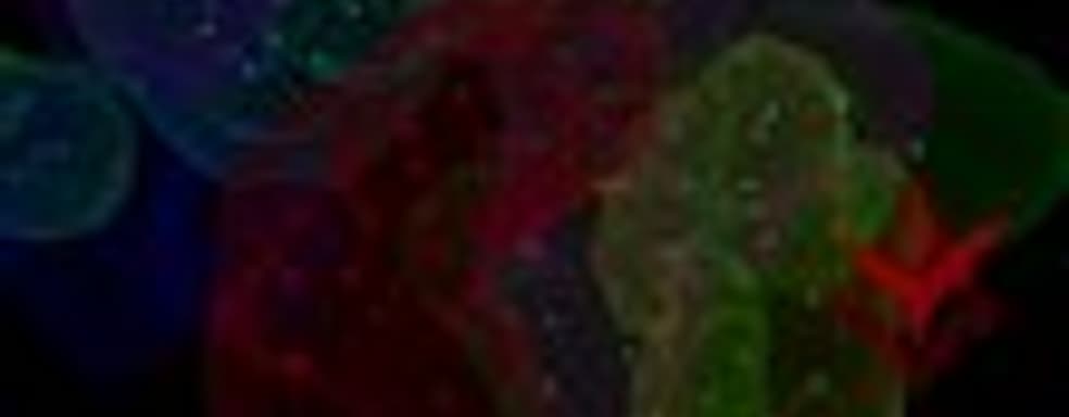 Космический симулятор Elite: Dangerous получил дополнение Powerplay