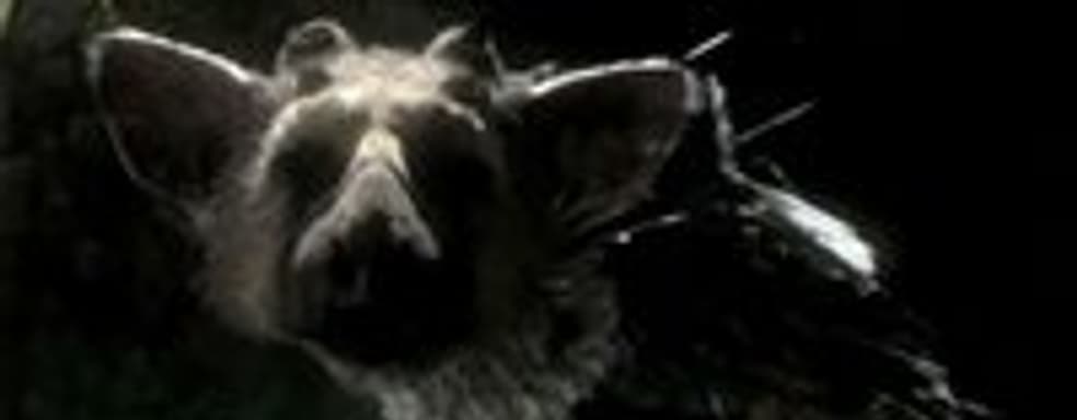 The Last Guardian в конце 2011. Официально [Трейлер]