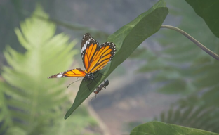 Фотореалистичная RTS Empire of the Ants получит кооператив, новых юнитов и режимы игры