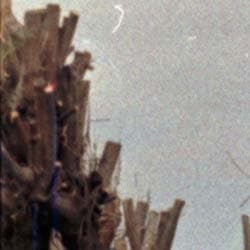 Фрагмент 1:1