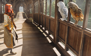 Патч Hogwarts Legacy не исправил встречающийся критический баг. Игроки вручную редактируют сохранение, чтобы пройти игру