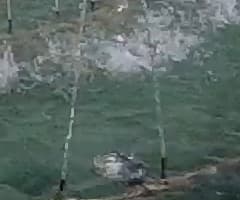 Экшн-камера GoPro Hero4 Session