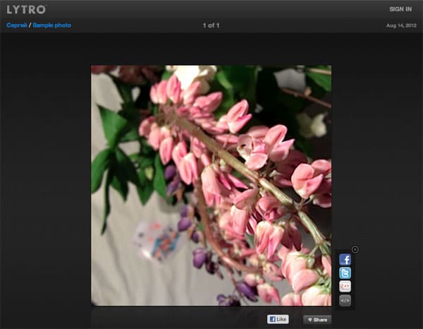ПО камеры Lytro