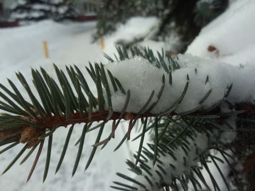 Обзор Meizu MX2