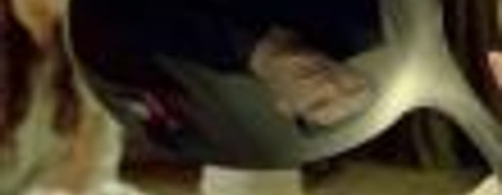 Слух: PS4 Neo поступит в продажу в конце этого года по цене 399 долларов, также появится обновлённая версия геймпада Dualshock 4