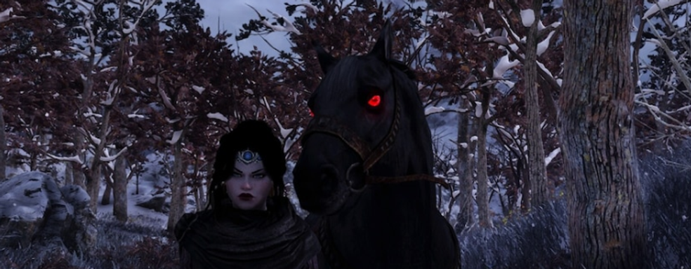 PlayStation и Bethesda объединились на Рождество. Неожиданный коллаб немецких подразделений