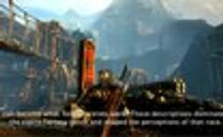 Дневники разработчиков The Witcher II