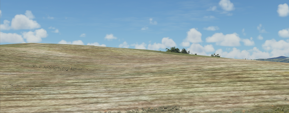 Microsoft Flight Simulator — В игре нашли обои из Windows XP