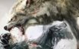 Студия-разработчик PS4-эксклюзива Wild ищет новых сотрудников