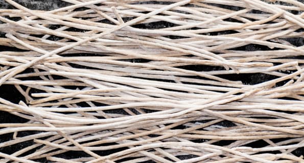 Шнековая соковыжималка Sana EUJ-606 и маслопресс Sana Oil Extractor EUJ-702