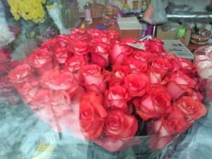 Обзор Meizu MX2