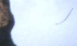 Фрагмент 1:1