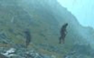 Тварь из Death Stranding сделали играбельным персонажем, но в проекте Dreams