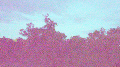 Видеосъемка фотоаппаратом Nikon D500