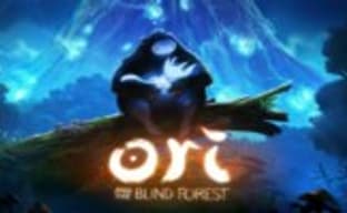 Оценки Ori and the Blind Forest